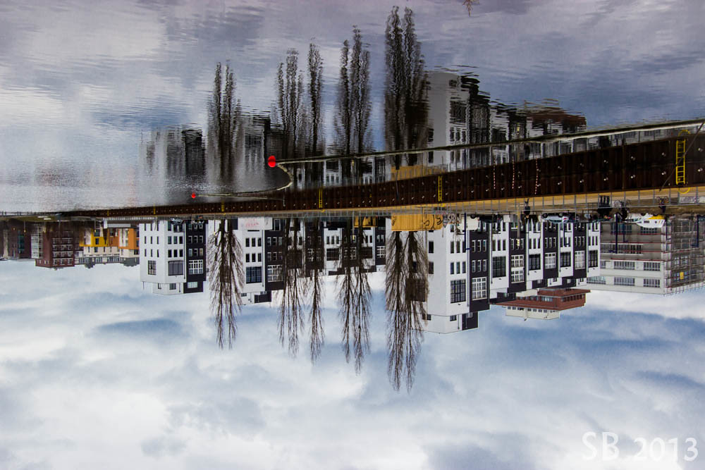 My Inverted My Inverted World – THE LITERARY MIRROR